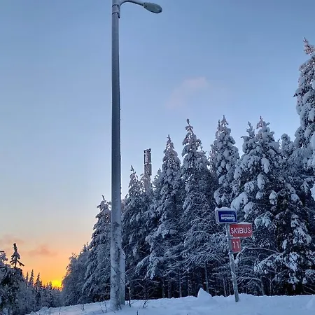 Lammensyli Ruka